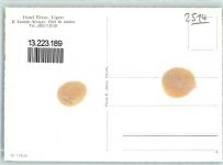 2514 Ligerz Gléresse Foto AK Hotel Kreuz