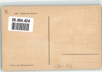 Waadtländer Winzerpaar