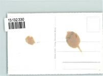 3705 Faulensee - Fliegeraufnahme Thunersee