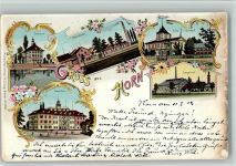 9326 Horn 1902 BOAKC Lithographie Schloss Bleicherei Villa Seehof Bad-Horn Ziegelhof Gebrauchsspuren, bitte Scan genau beachten!