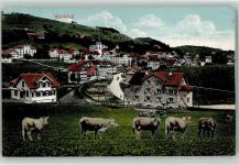 9104 Waldstatt 1912 - Kühe