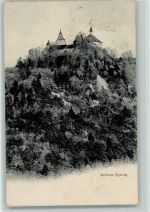 8314 Kyburg 1905 - Schloss Kyburg Waldhang
