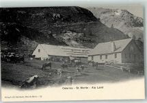 7505 Celerina/Schlarigna - Alp Laret Kühe