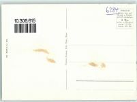 6284 Gelfingen - Schloss Heydegg