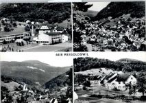 4418 Reigoldswil