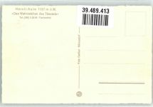 Hörnli ZH - Kulm Gasthaus