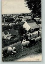 2926 Boncourt 1915 Gebrauchsspuren Verlag Burgy Nr. 4213 - Schafherde und Teilansicht AK