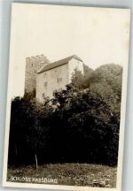 5245 Habsburg Foto AK Schloss Habsburg