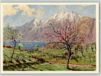 Gridone Künstlerkarte Lago Maggiore und Mte. Gridone E. Zuppinger