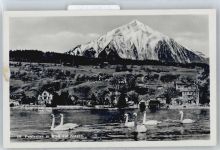 3705 Faulensee - Niesen