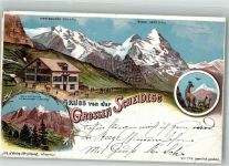 Scheidegg 1898 Lithographie Hotel Scheidegg Gämse