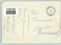 Piz Albris - Flgelprobe des Jung-Adlers Horst