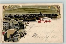 8266 Steckborn 1902 Gebrauchsspuren Rathaus Krone Löwen Hauptstrasse Lithographie Mondschein