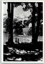 8767 Elm - Hausstock