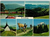 Kronberg - Kuh Kirche Eisenbahn VW-Käfer Opel Commodore