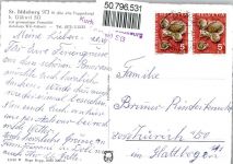 9534 Gähwil - Blick von St. Iddaburg, Säntis, Churfirsten