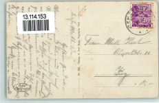 9425 Thal - Bodensee Kühe