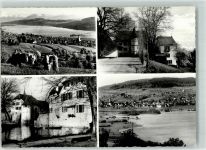 5707 Seengen Foto AK Hallwilersee Kühe Schloss