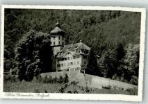 9436 Balgach Foto AK Schloss Grünenstein