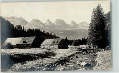 Zuger Alpli 1917 - Churfirsten