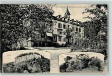 Schauenburg - Fluh Schlossruine Baumblüte