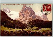 3860 Rosenlaui - Well und Wetterhorn Kuhherde
