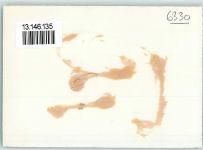 6330 Cham Gebrauchsspuren Fliegeraufnahme