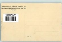 8200 Schaffhausen Sciaffusa - Jahrhundertfeier des Männerchors und Kant. Sängerfest 1926