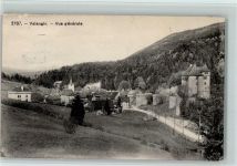 2042 Valangin 1917 - Vue generale