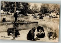 3000 Bern Berne 1921 - Zuschauer beobachten die Bären im Graben