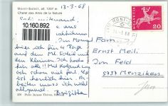 Mont Soleil - Berghaus Berg Frei Kind auf Schaukel