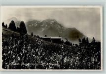1884 Villars-sur-Ollon - Paysan et vue sur les dents de Morcles
