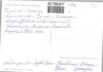 6074 Giswil - Gesamtansicht, Giswiler-Stock