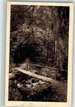 4614 Hägendorf 1924 Foto AK Teufelsschlucht