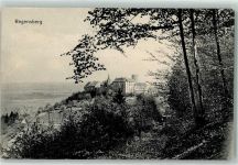 8158 Regensberg 1913 - Schloss