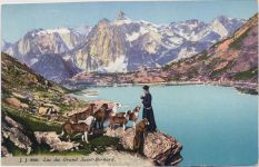 um 1910/20 - Schweiz, Kanton Genf, Lac Saint-Bernard, Bernhardiner, Rassehunde, Priester, Berge,Julien freres AKU1