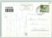 Tierwies - Grenzkopf