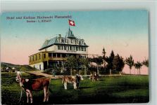 Pfannenstiel - Hotel u. Kurhaus Hochwacht Kühe