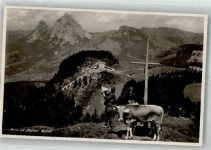 6433 Stoos SZ Foto AK Betruf Kreuz Kuh
