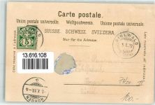 8135 Sihlwald 1899 Lithographie Auerhahn Hirsch Gasthaus