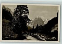 3860 Rosenlaui - Well- und Wetterhorn