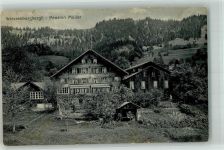 3764 Weissenburg 1914 Foto AK Weissenburgbergli Pension Müller