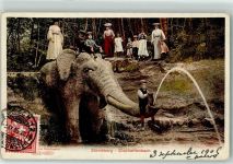 Zürichberg 1905 - Elefantenbach