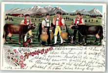 9105 Schönengrund 1901 Lithographie Tracht Appenzeller Land Kühe Kuhglocken Ort handschriftlich