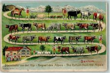 Prägedruck Heimkehr von der Alp AK