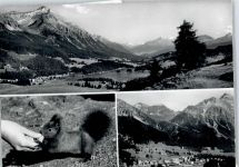 7078 Lenzerheide/Lai - Eichhörnchen, Valbella