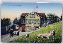 8712 Stäfa Uelikon (Stäfa) - Kutsche