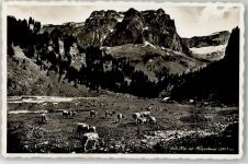 6436 Bisisthal - Sahli-Alp