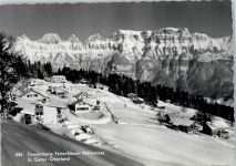 8898 Tannenboden Flumserberg - Ferienhäuser Mätzwiese