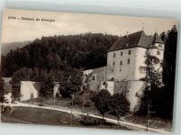 2042 Valangin Foto AK Schloss